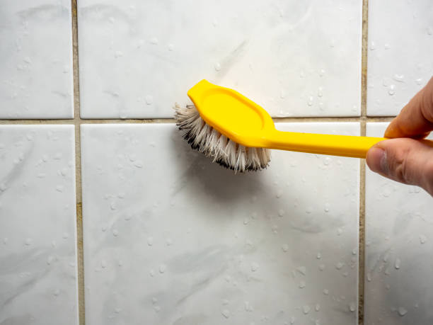 Best Commercial Mold Removal  in Isle Of Hope, GA